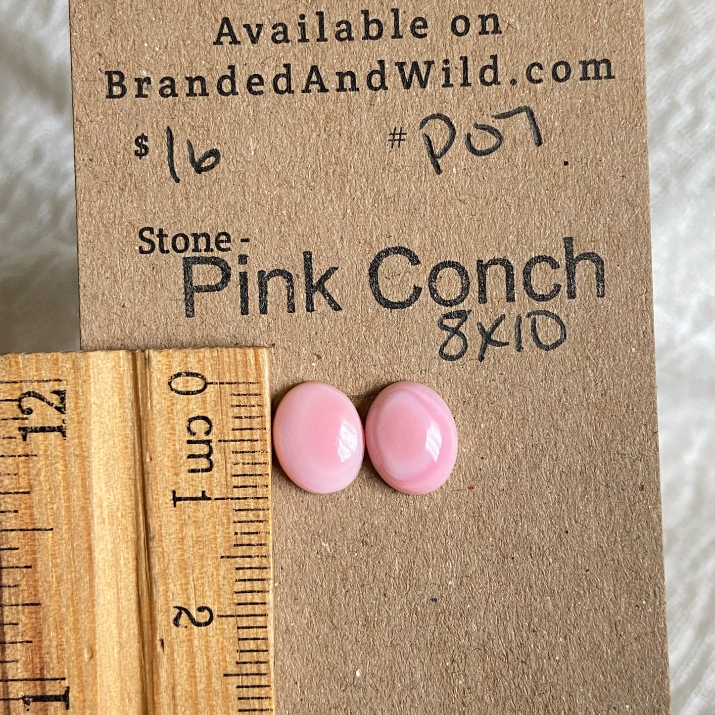 Pink Conch Cabochon - P07 8BCAD33C-1780-4280-A090-464E16F9A56F Brandedandwild.com