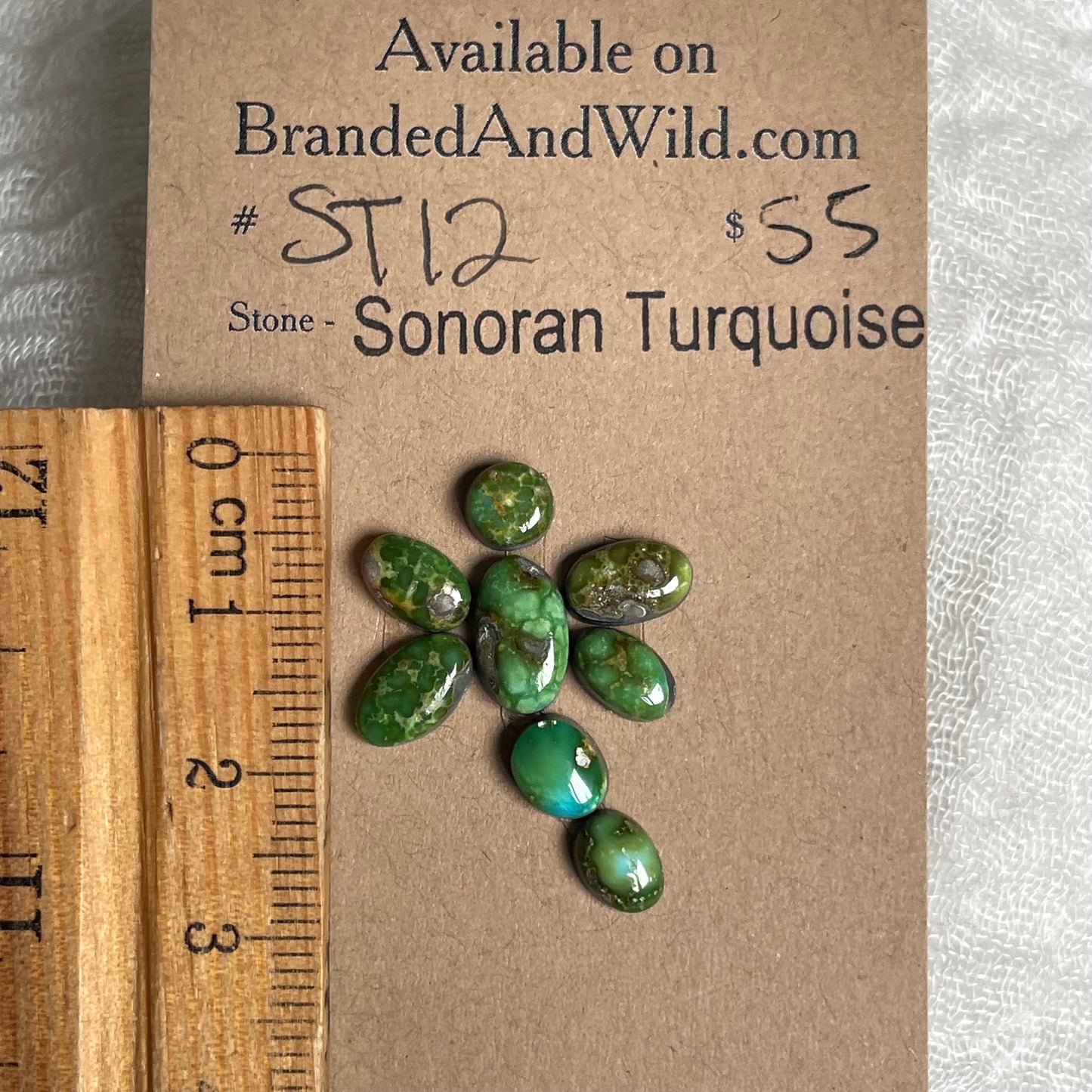 Sonoran Turquoise Cabochon - ST12