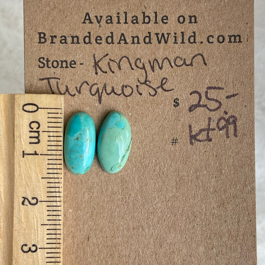 Kingman Turquoise Cabochon - ST99