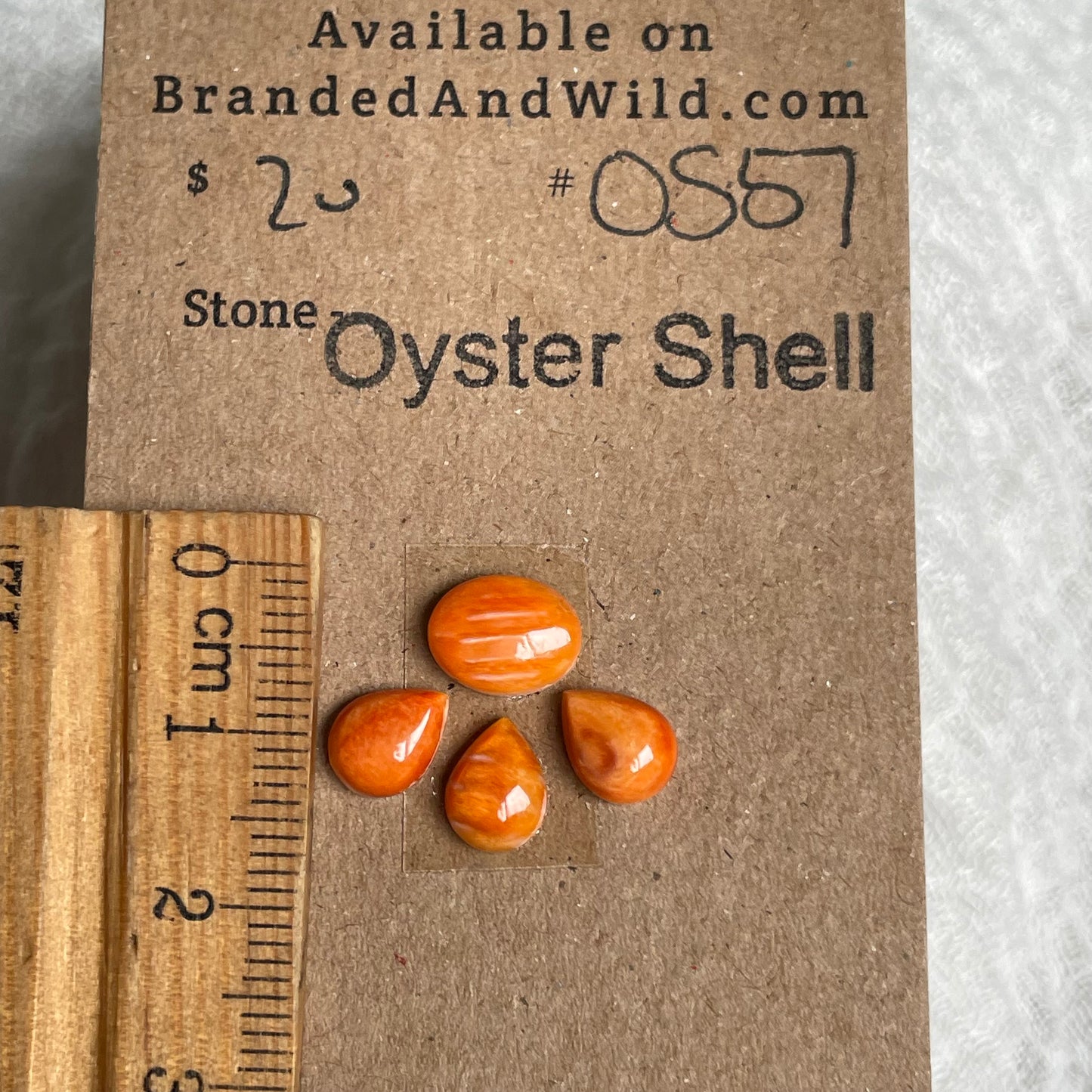 Oyster Shell Cabochon - OS57