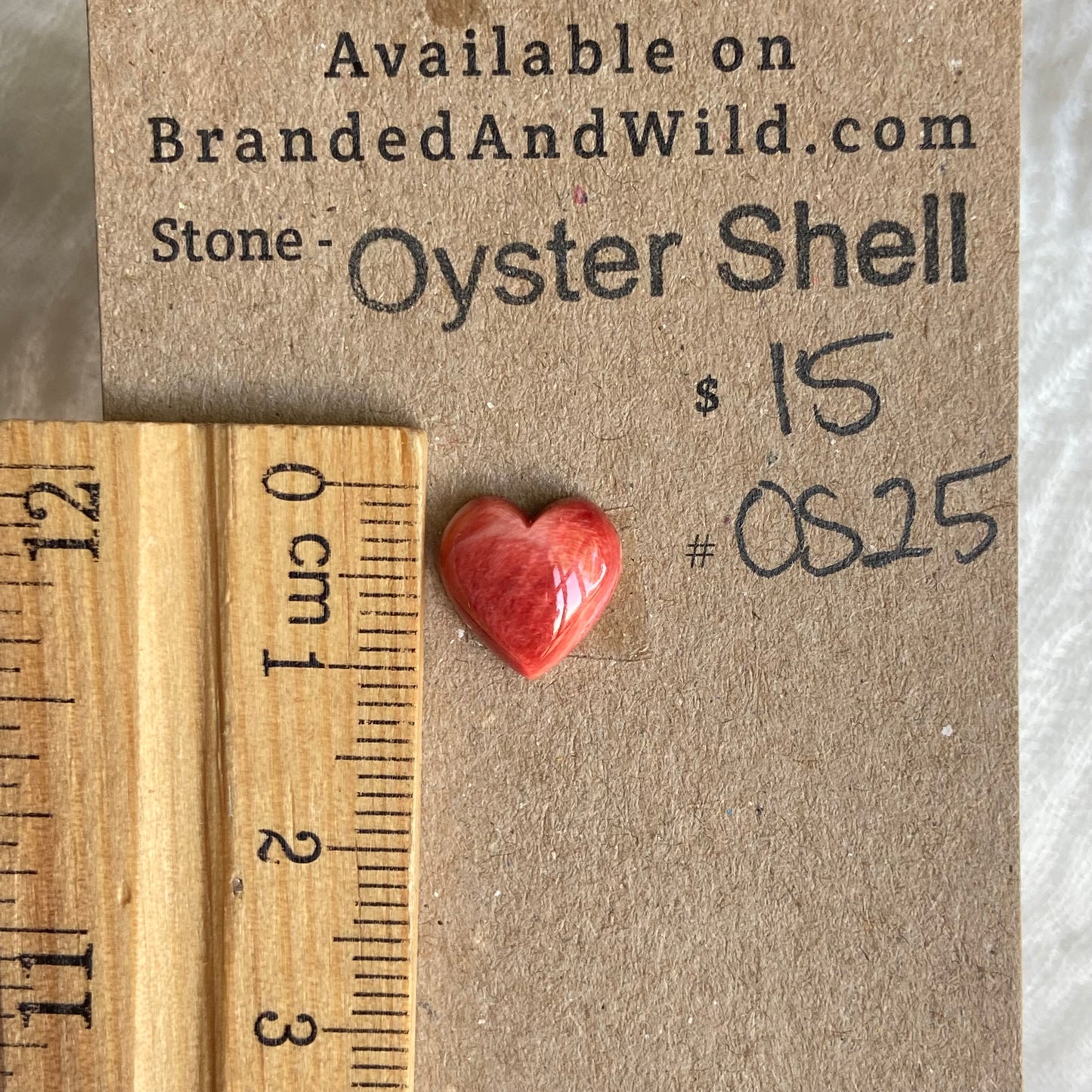 Oystershell Cabochon - OS25