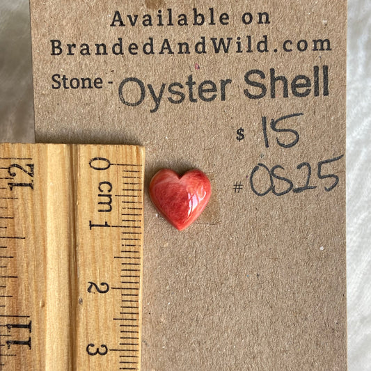 Oystershell Cabochon - OS25