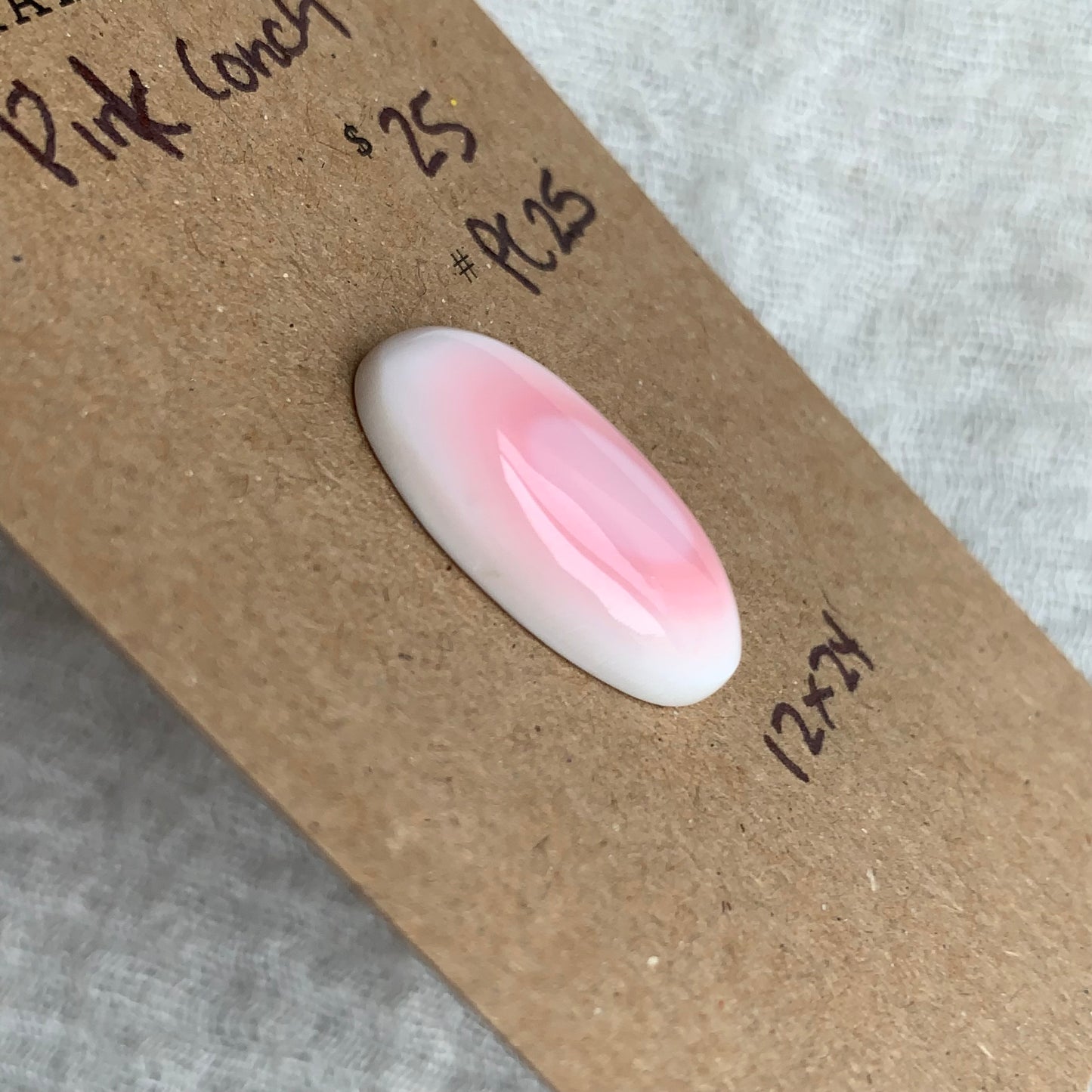 Pink Conch Cabochon - PC25