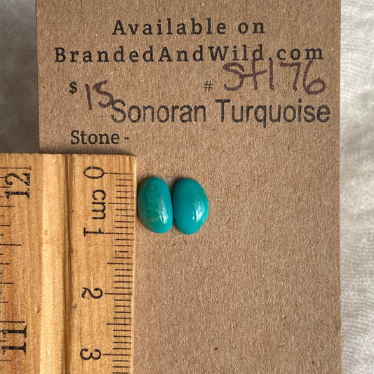 Sonoran Turquoise Cabochon - ST176