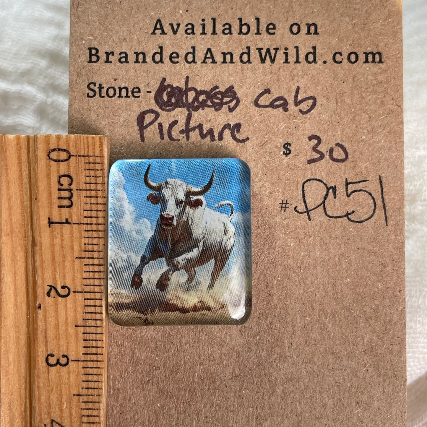 Picture Cabochon - Cabochon - PC51 8CF126B9-CC5A-4699-8459-E3298C4C60EC Brandedandwild.com