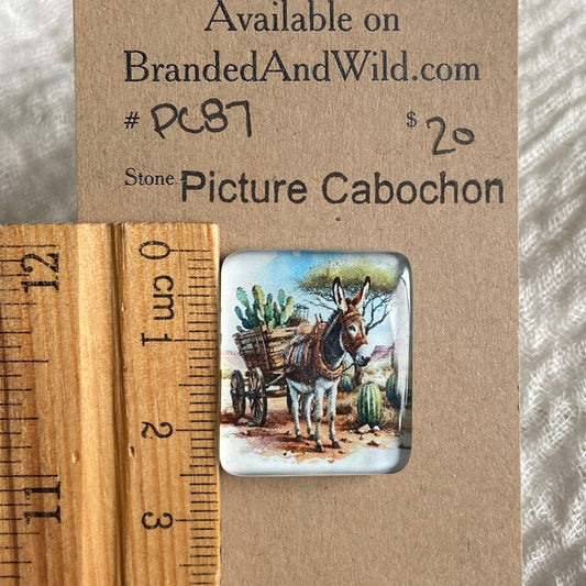 Picture Cabochon - Cabochon - PC87 8CF1C414-E8BA-4C37-AFA9-BD16E0AD4C26 Brandedandwild.com