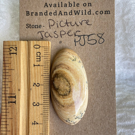 Picture Jasper Cabochon - PJ58