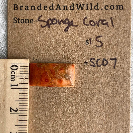 Sponge Coral Cabochon - SC07
