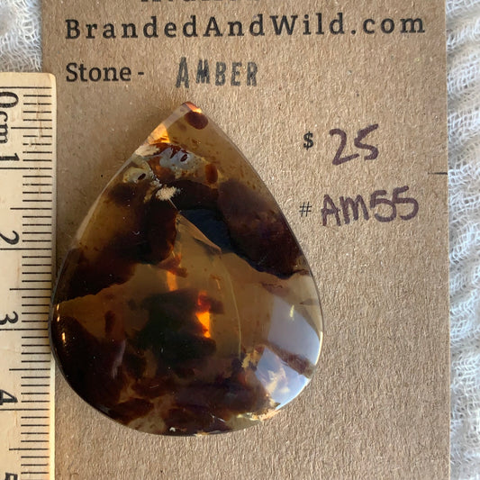Amber Cabochon AM55
