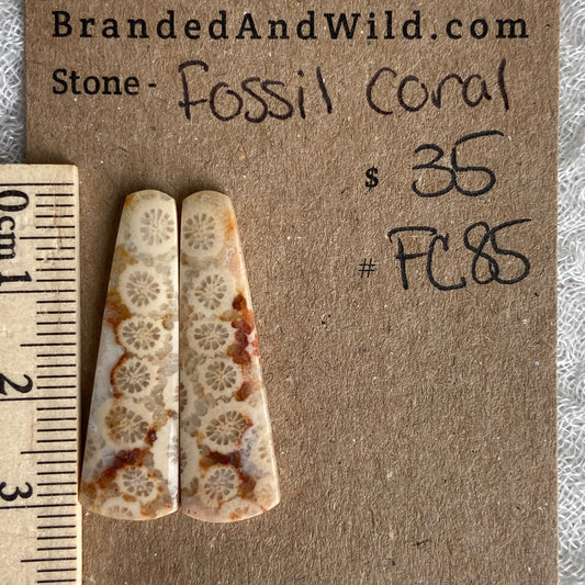Fossil Coral Cabochon - FC85