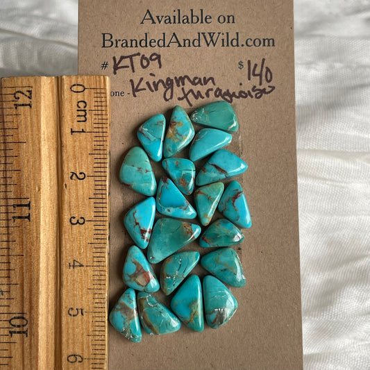 Kingman Turquoise Cabochon - KT09 8D77AD4C-B78E-459E-B28B-F411615B0997 Brandedandwild.com