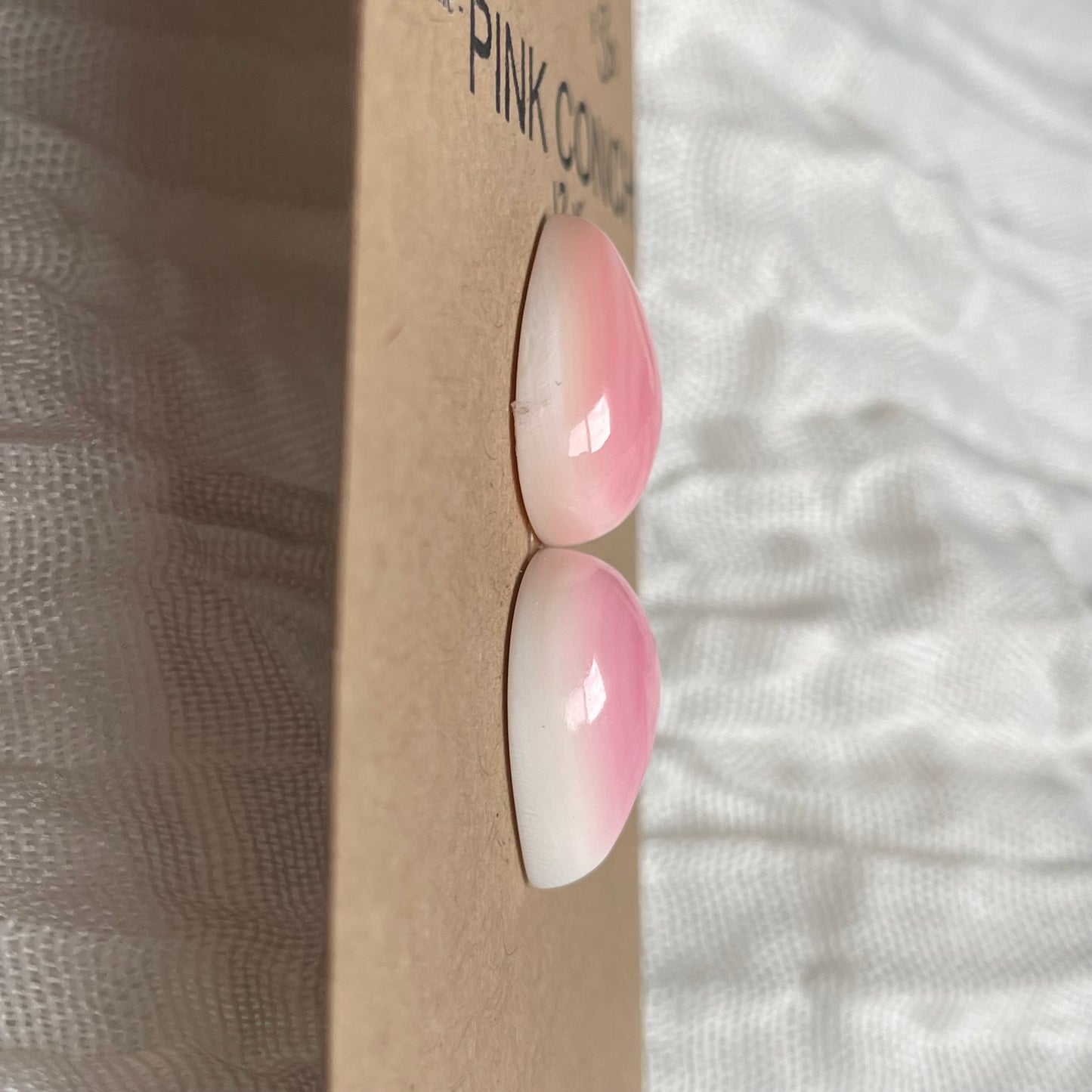 Pink Conch Cabochon - PC47 8D90DDFA-9224-492B-B156-003A1FE714F1 Brandedandwild.com