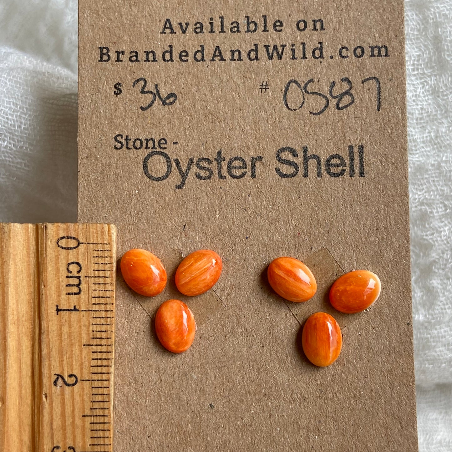 Oystershell Cabochon - OS87 8DAE9E06-A51D-41B4-9CDF-29FDD7B99EE4 Brandedandwild.com
