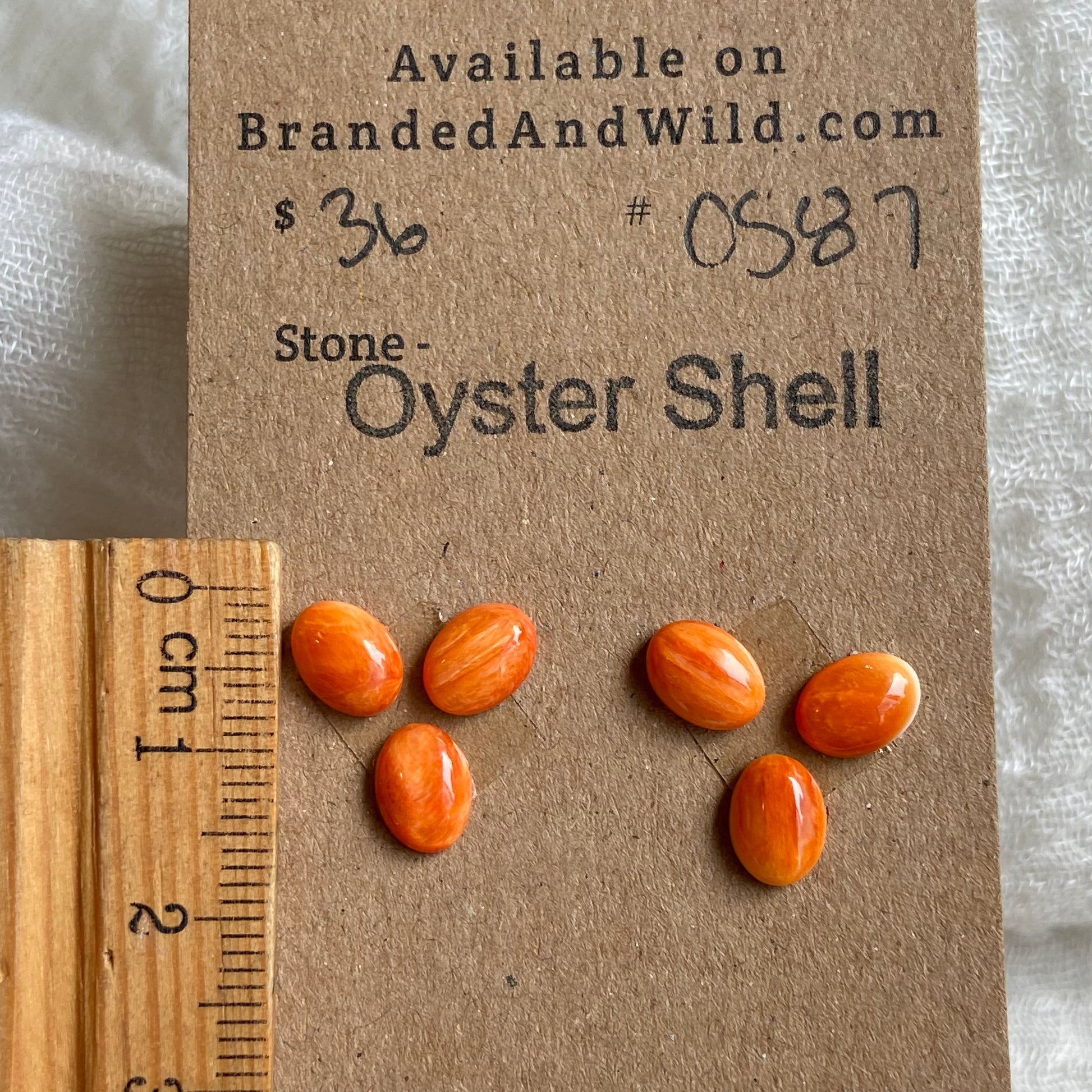 Oystershell Cabochon - OS87 8DAE9E06-A51D-41B4-9CDF-29FDD7B99EE4 Brandedandwild.com