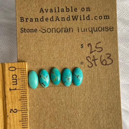Sonoran Turquoise Cabochon - ST63