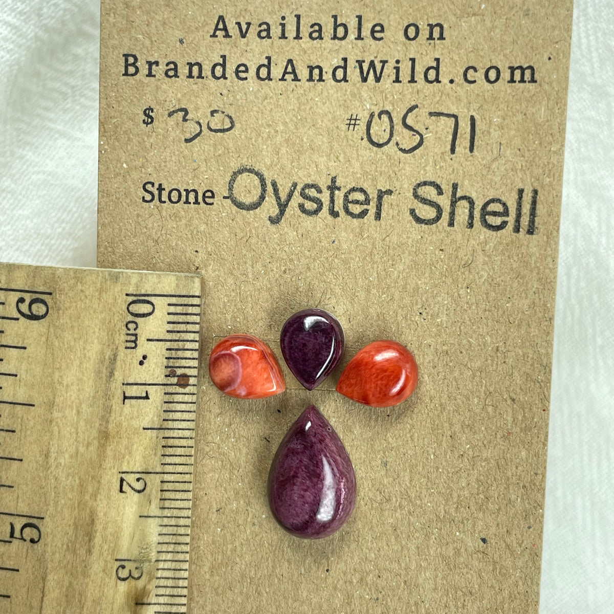 Oyster Shell Cabochon - OS71 8E2A853F-593A-4B8B-9EA3-C234DF48C213 Brandedandwild.com