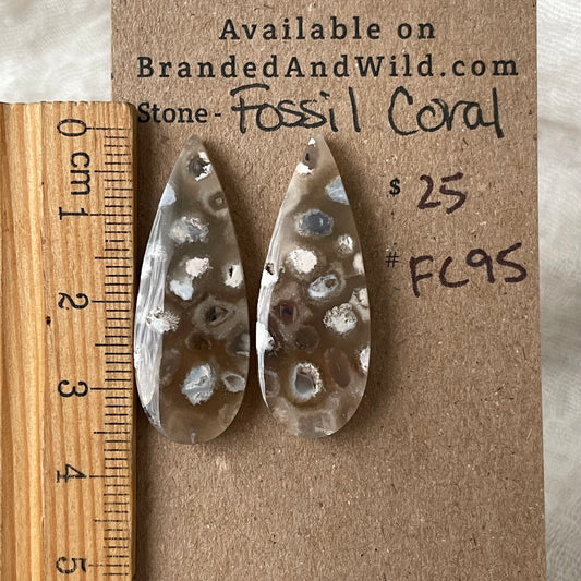 Fossil Coral Cabochon - FC95 8E417179-C30A-4400-AC48-6B696BF4069A Brandedandwild.com
