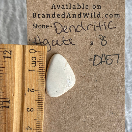 Dendritic Agate Cabochon - DA57