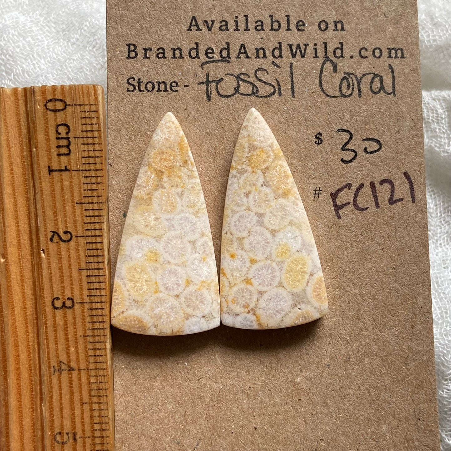 Fossil Coral Cabochon - FC121