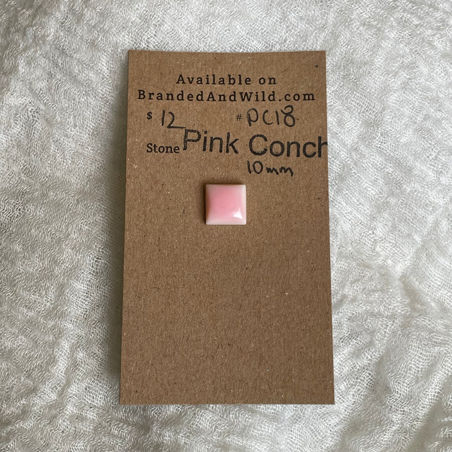 Pink Conch Cabochon - PC18