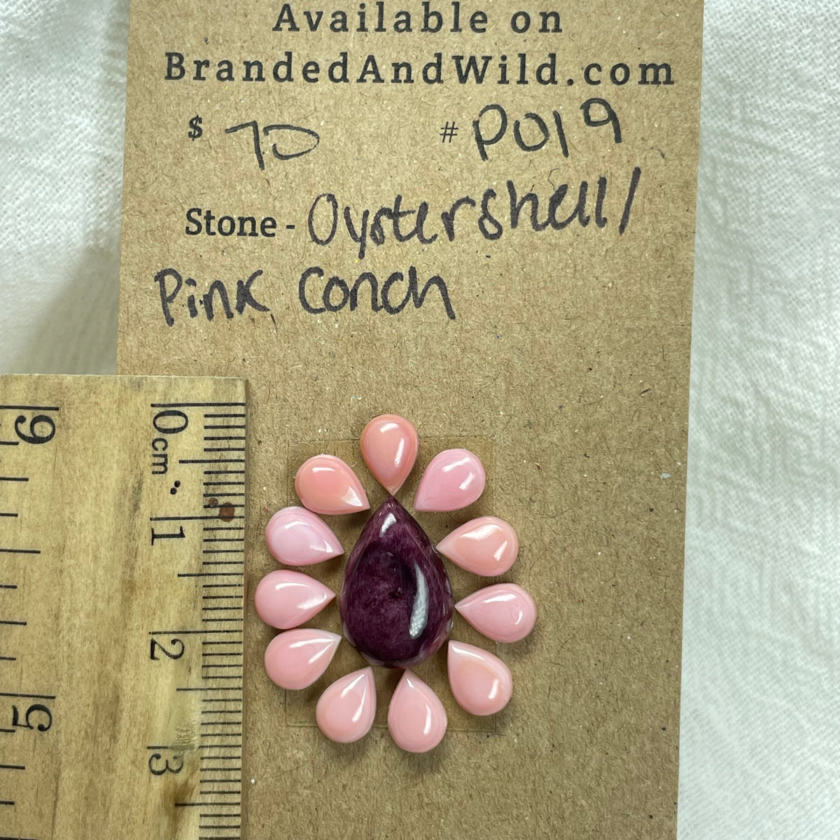 Pink Conch / Oyster Shell Cabochon - PO19 8E9AD35E-26BB-49F1-9564-40BB2A4EA397 Brandedandwild.com