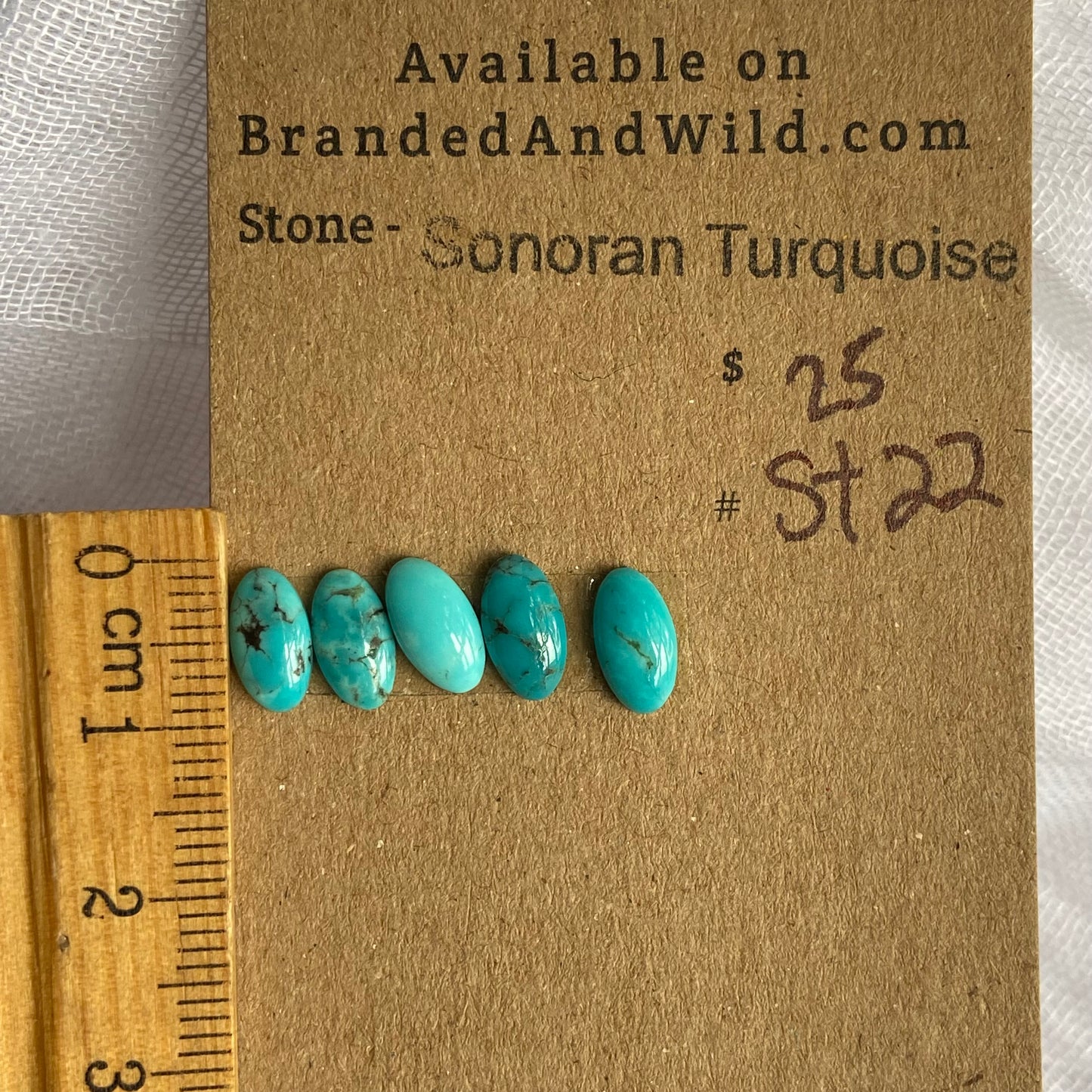 Sonoran Turquoise Cabochon - ST22
