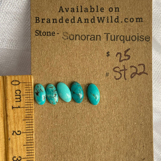 Sonoran Turquoise Cabochon - ST22