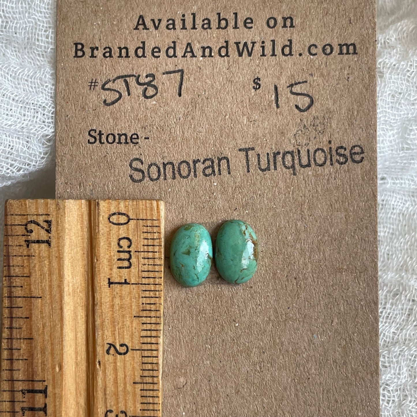 Sonoran Turquoise Cabochon - ST87