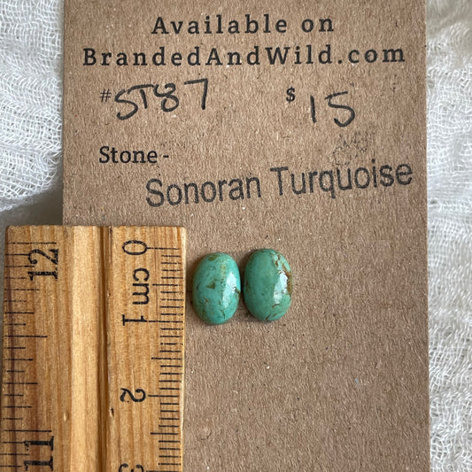 Sonoran Turquoise Cabochon - ST87 8EBB6939-52A2-459C-A1CF-3463E6D0DDF9 Brandedandwild.com