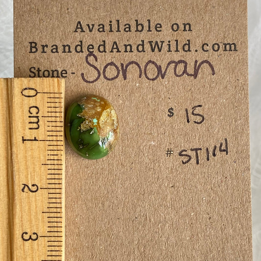 Sonoran Turquoise Cabochon - ST114
