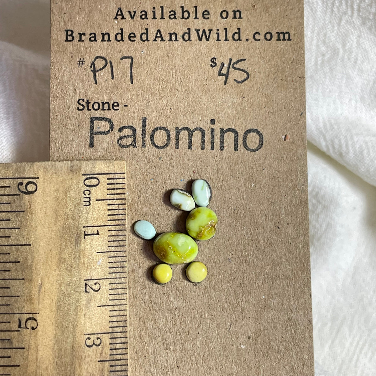 Palomino Cabochon - P17 8EF5DFB3-E056-4379-8CF9-52F72259FAEA Brandedandwild.com