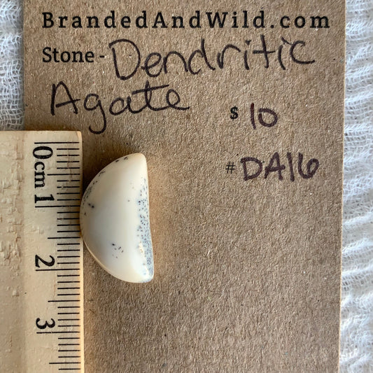 Dendritic Agate Cabochon - DA16