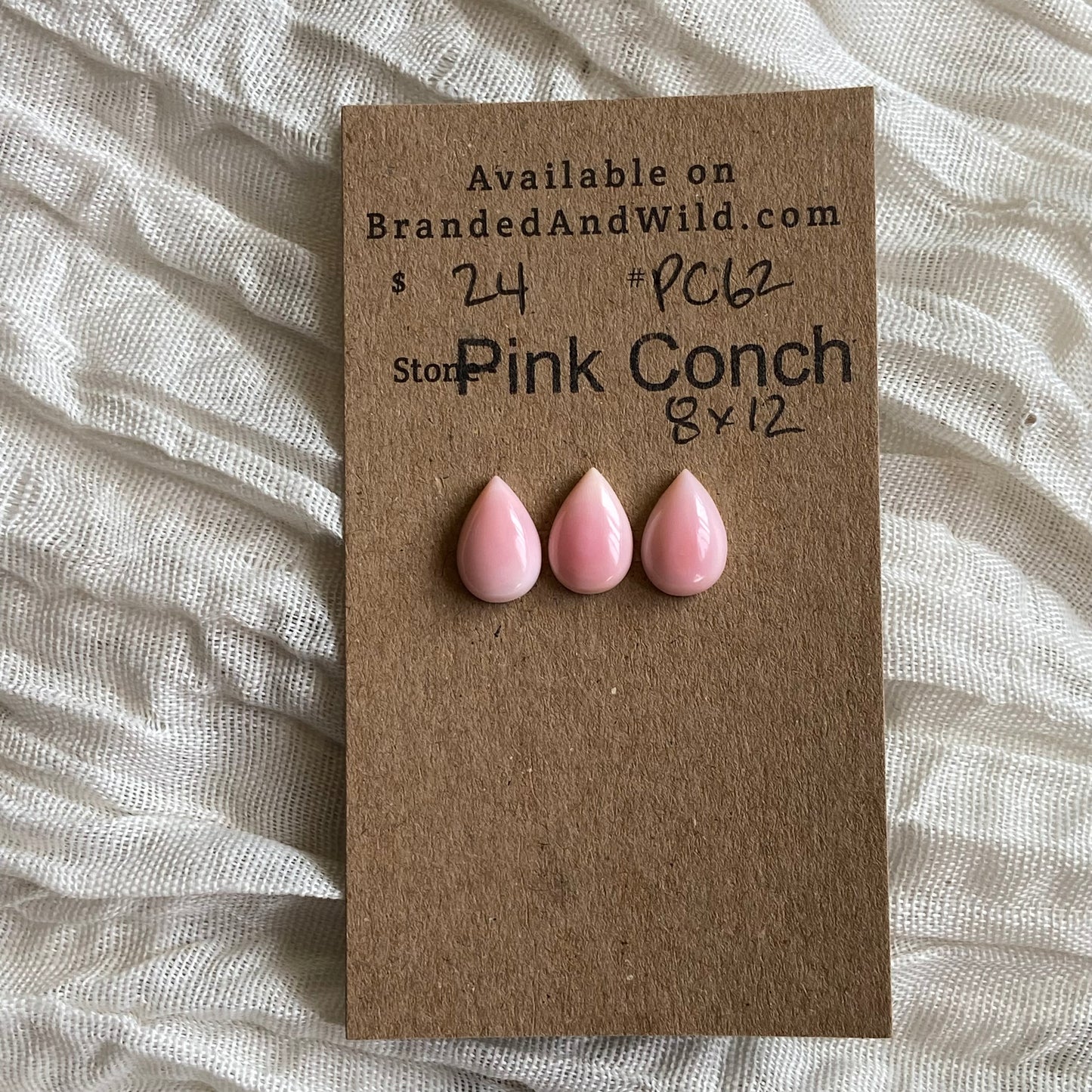 Pink Conch Cabochon - PC62