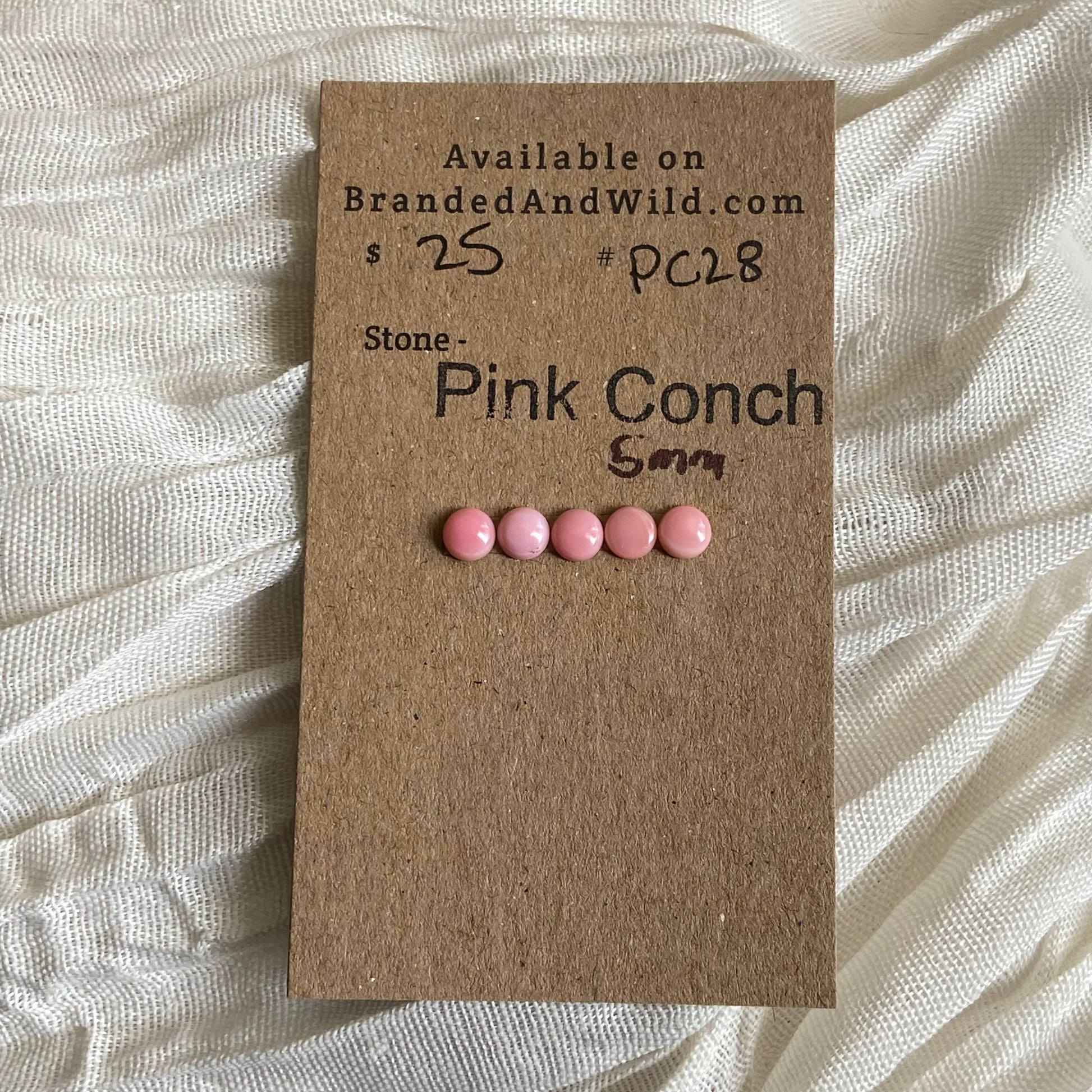 Pink Conch Cabochon - PC28 8F54875F-A8E8-4729-8737-D13D3BEAE58B Brandedandwild.com