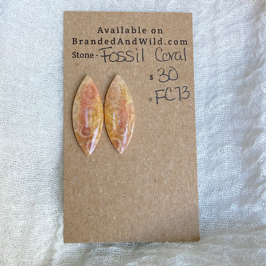 Fossil Coral Cabochon - FC73