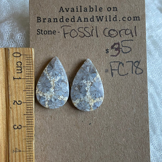 Fossil Coral Cabochon - FC78 8F632622-B47A-4518-8ECC-661B96D168EB Brandedandwild.com