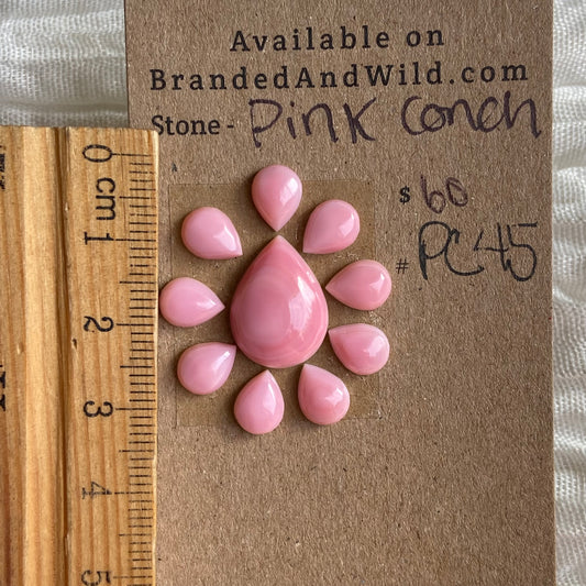 Pink Conch Cabochon - PC45 8F8BD8C7-B806-4F07-8A18-10CD536A3BA4 Brandedandwild.com