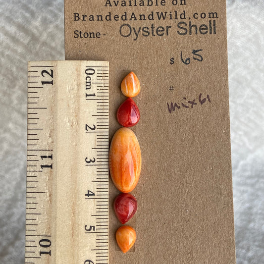 Oystershell Cabochon - MIX61