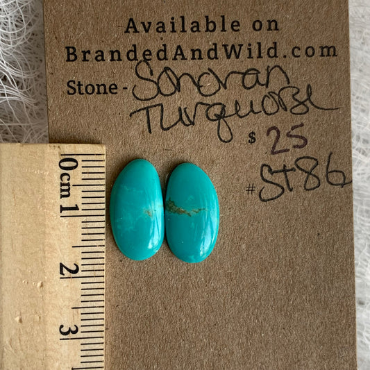 Sonoran Turquoise Cabochon - ST86