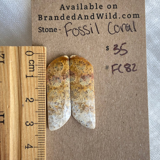 Fossil Coral Cabochon - FC82