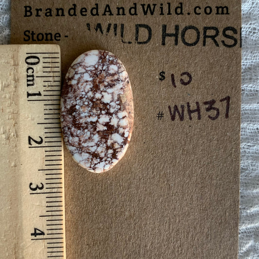 Wild Horse Cabochon - WH37