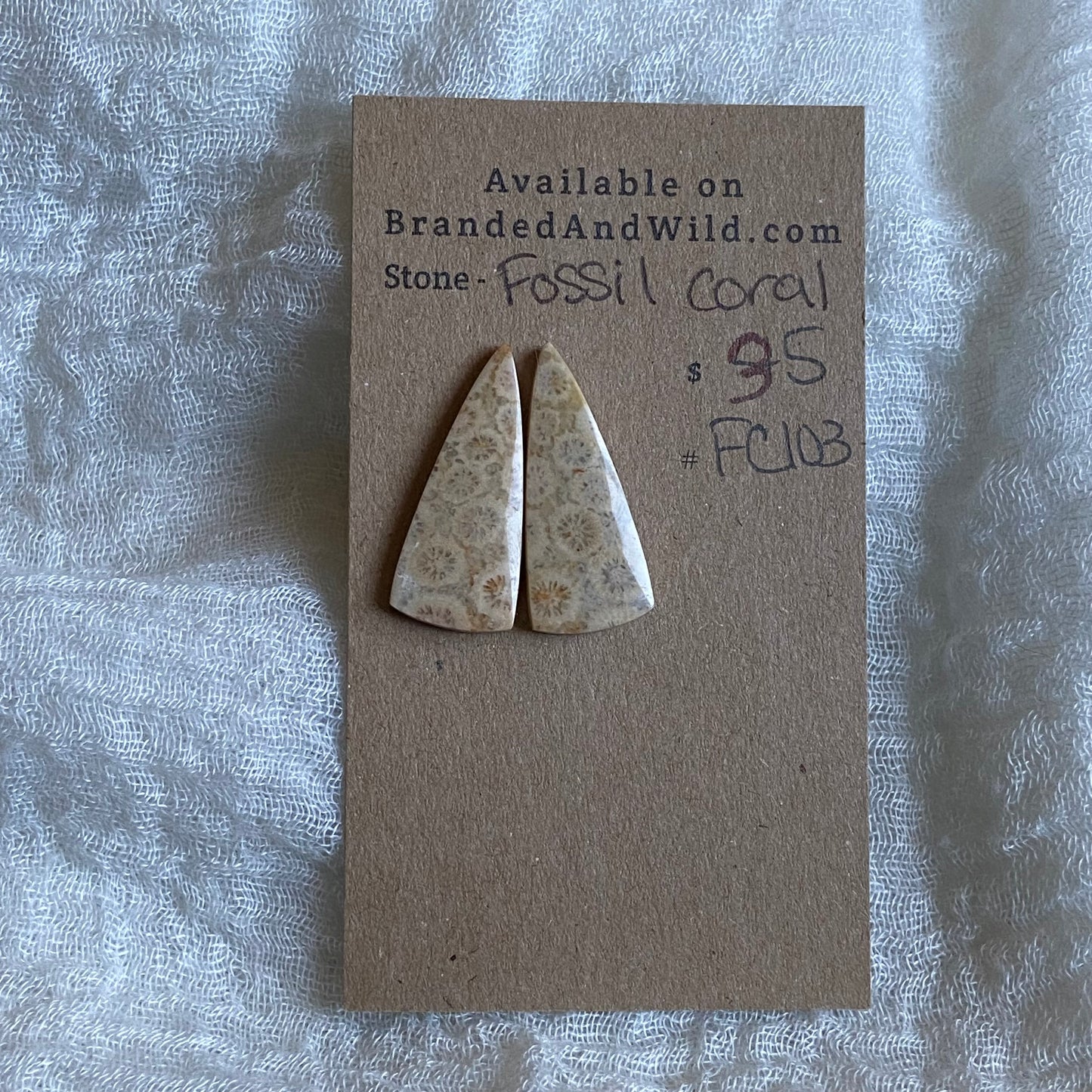 Fossil Coral Cabochon - FC103
