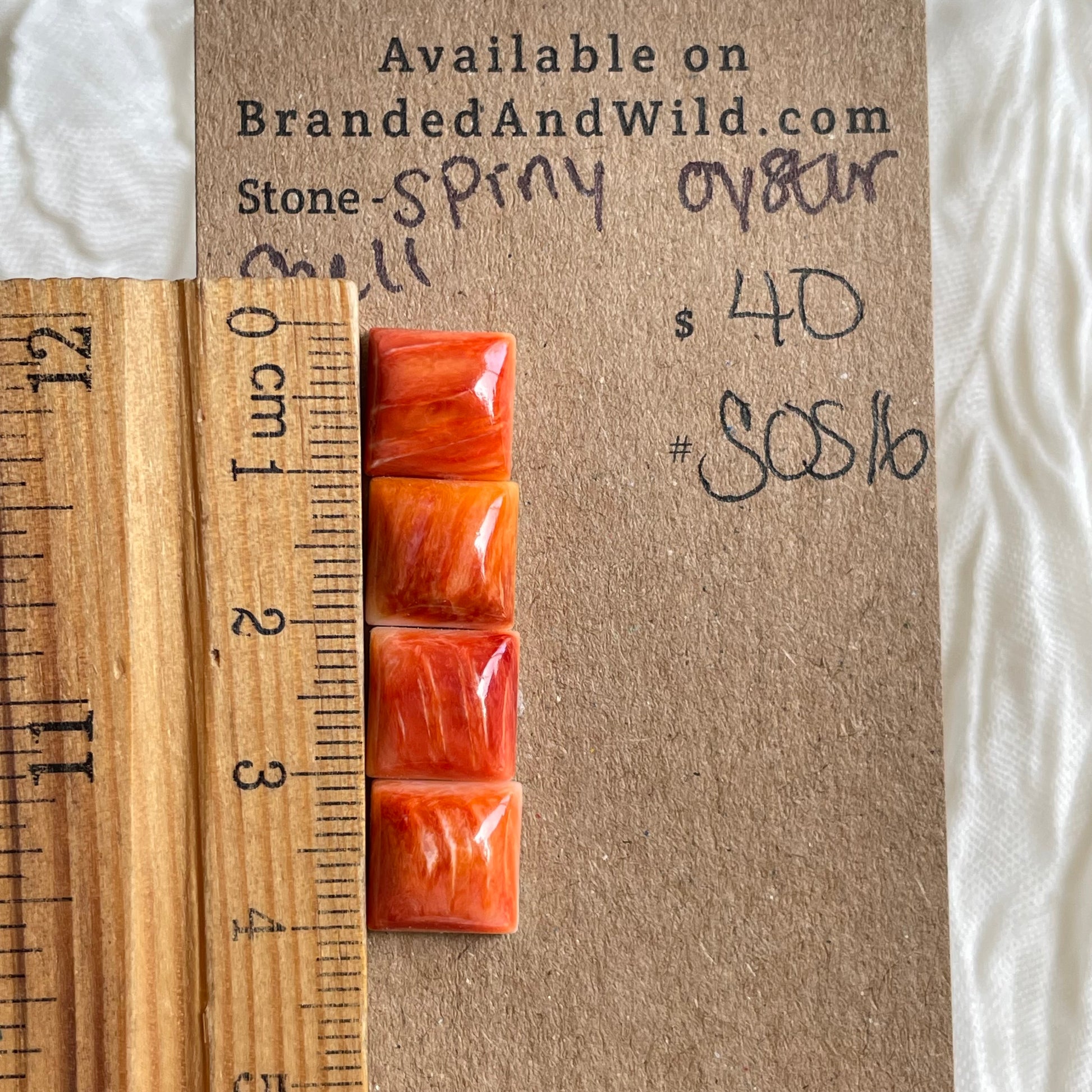 Spiny Oyster Shell Cabochon - SOS16 905DCBFC-18C3-4F4D-92B2-83B970679599 Brandedandwild.com