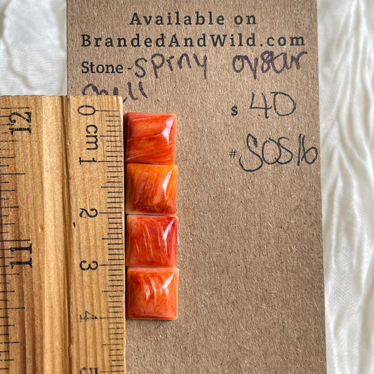 Spiny Oyster Shell Cabochon - SOS16 905DCBFC-18C3-4F4D-92B2-83B970679599 Brandedandwild.com