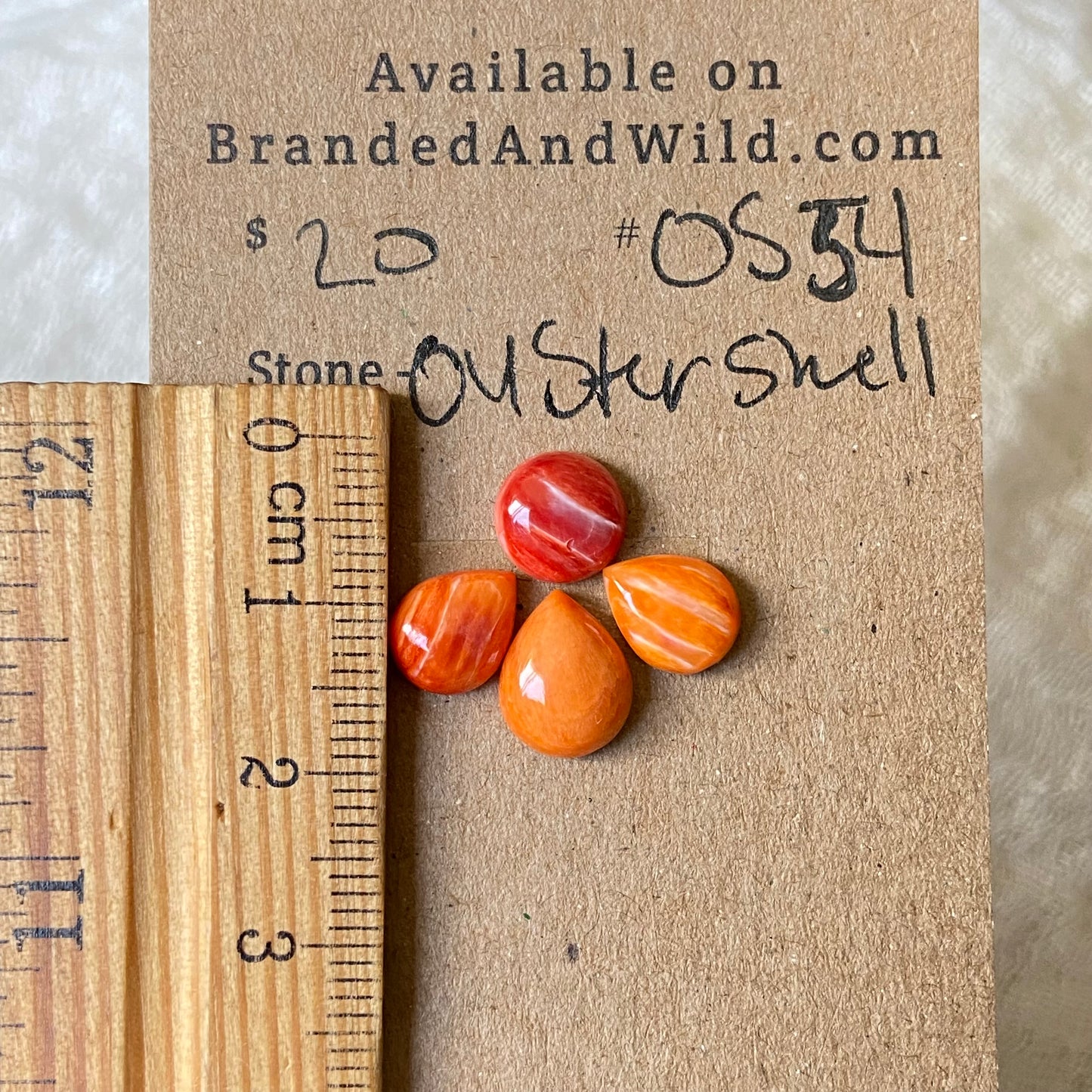 Oystershell Cabochon - OS54 90629660-6F91-44DA-ABAA-C4570D2FB52A Brandedandwild.com