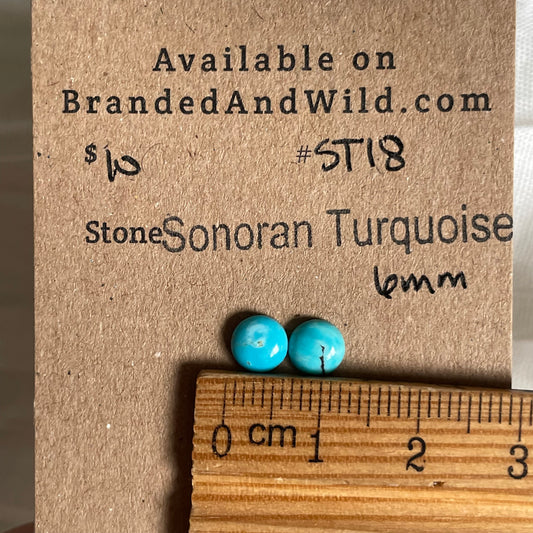 Sonoran Turquoise Cabochon - ST18 906E9122-81A1-486B-8CC4-AFE1AA6D2726 Brandedandwild.com