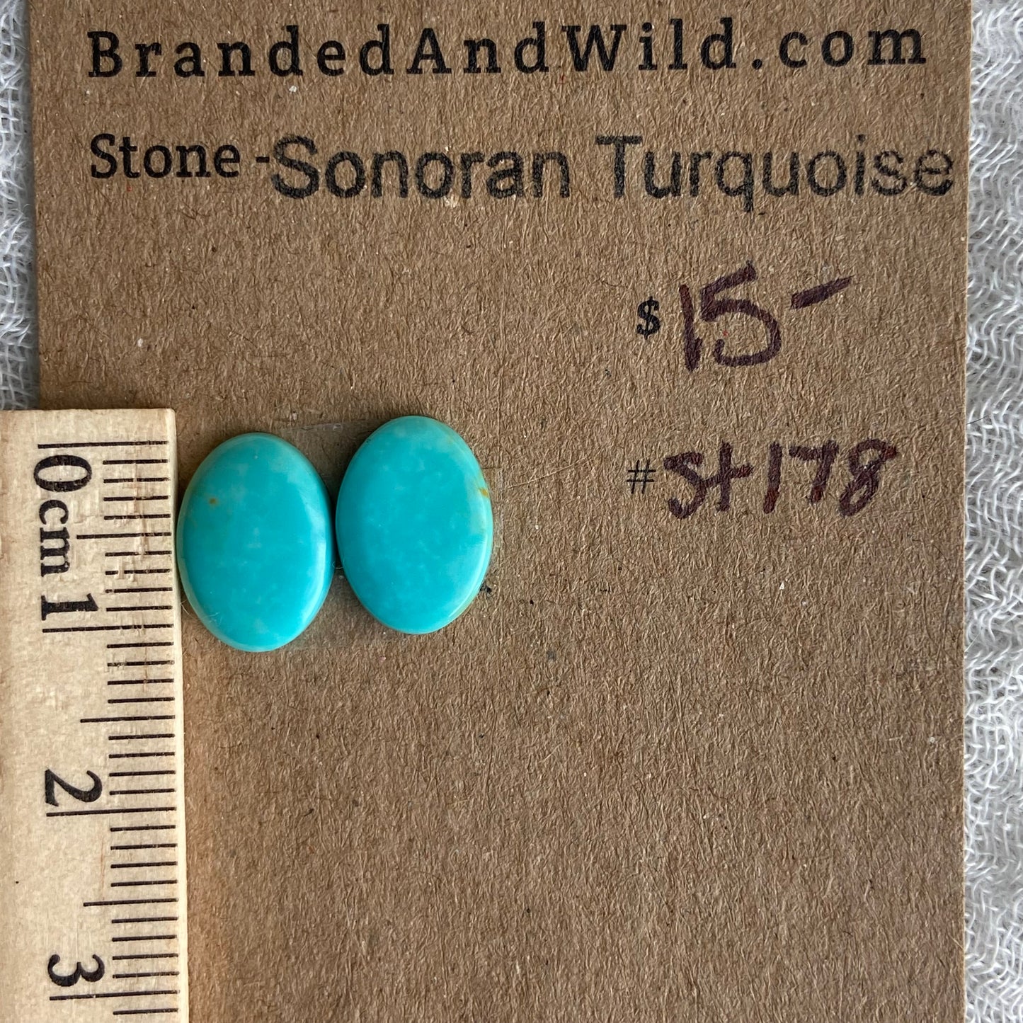 Sonoran Turquoise Cabochon - ST178