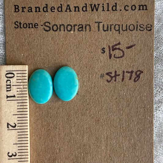 Sonoran Turquoise Cabochon - ST178