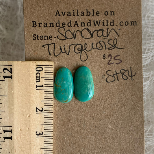 Sonoran Turquoise Cabochon - ST84