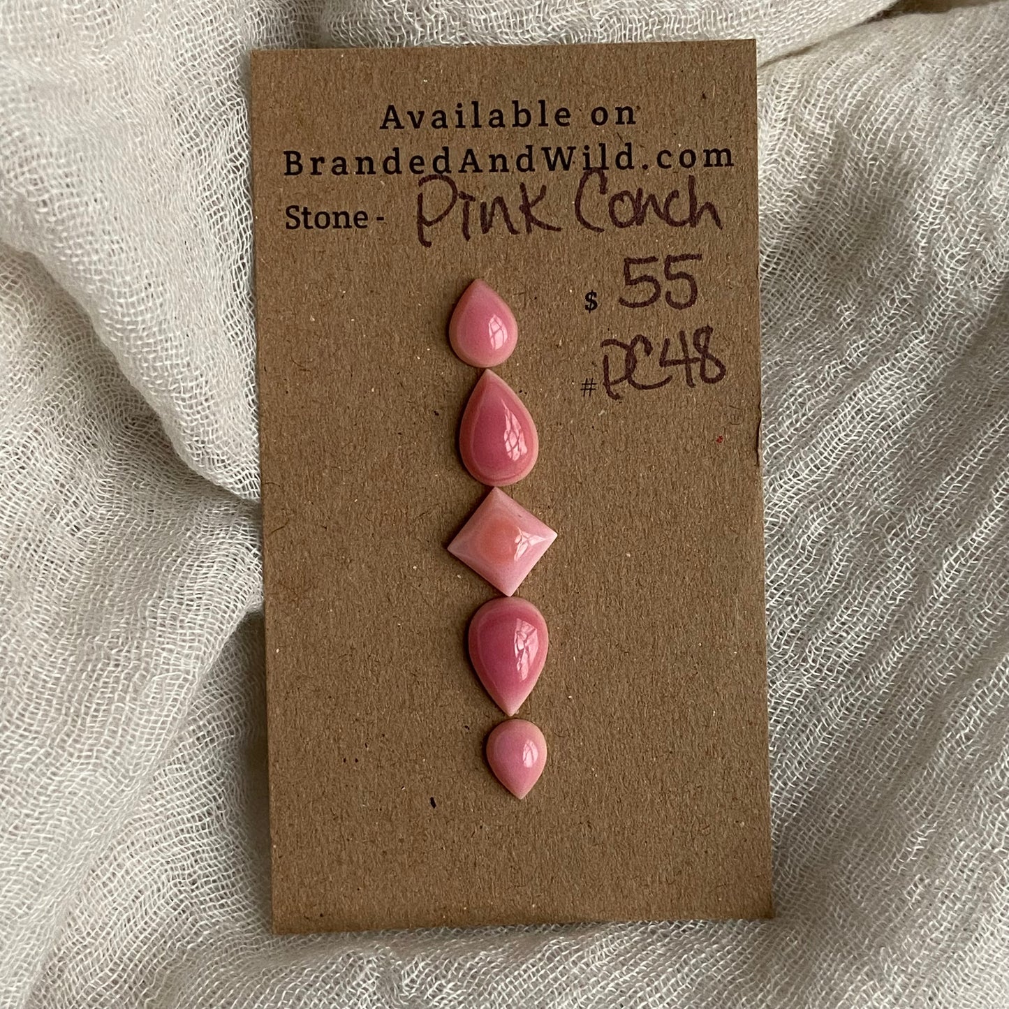 Pink Conch Cabochon - PC48